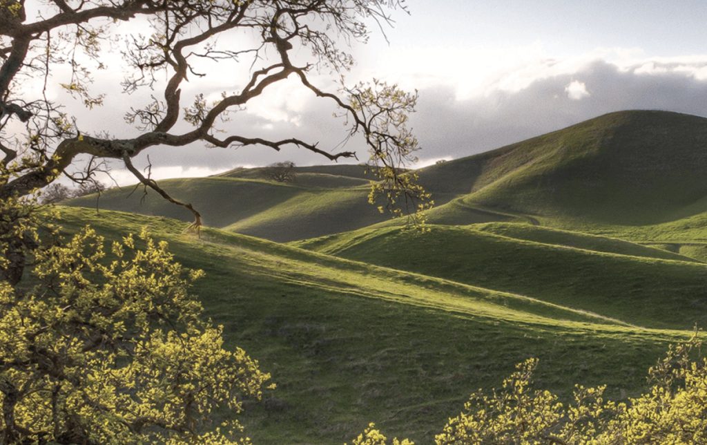 Danville California Sycamore Valley